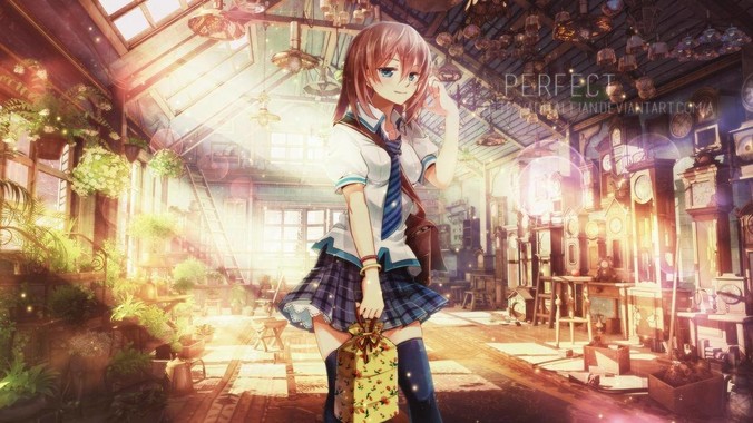 为什么 C 语言没人喷？