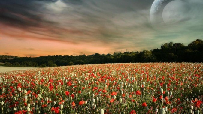 为什么游戏中，中国跟欧洲的时延这么大，是否是海底光缆距离过长的原因？